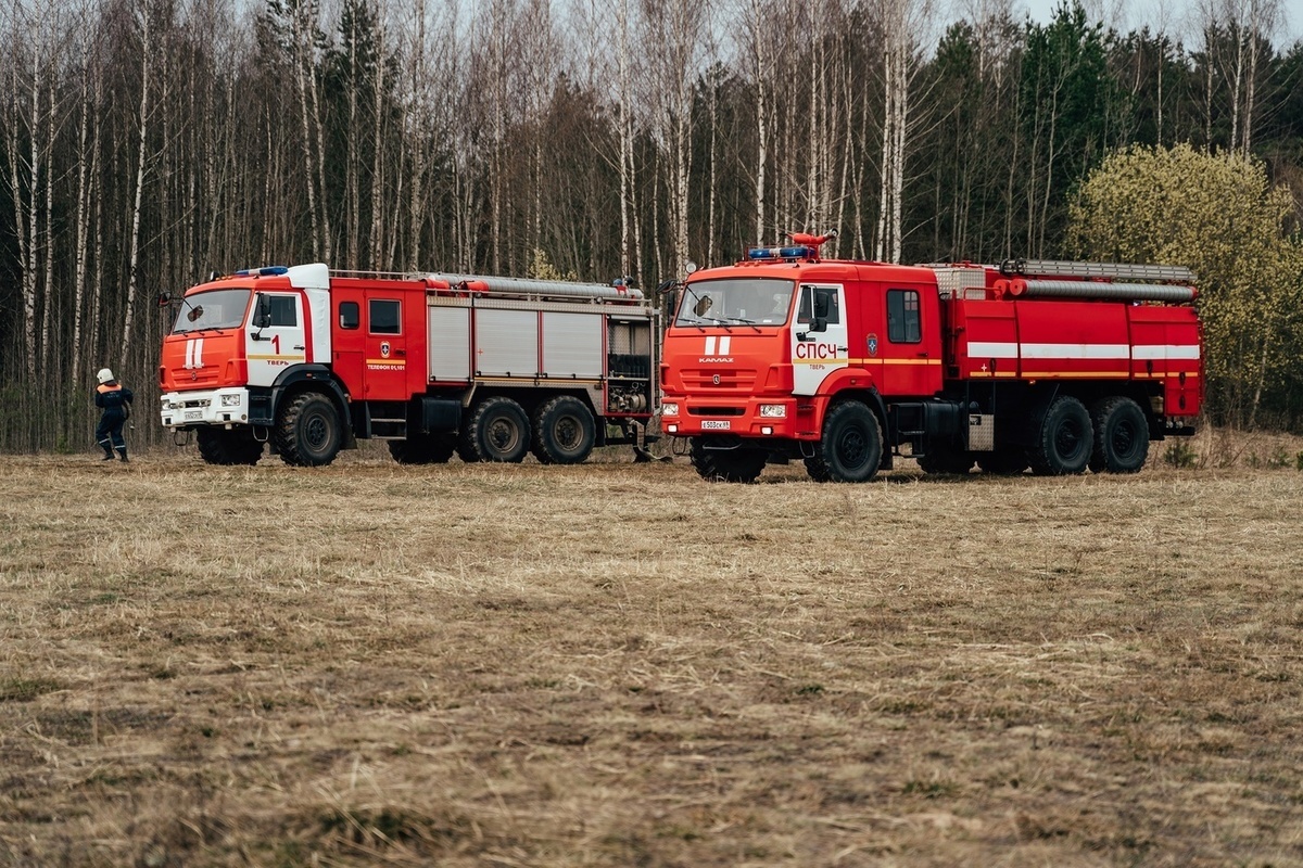 В Тверской области мобильные группы мониторят леса и торфяные месторождения  - МК Тверь