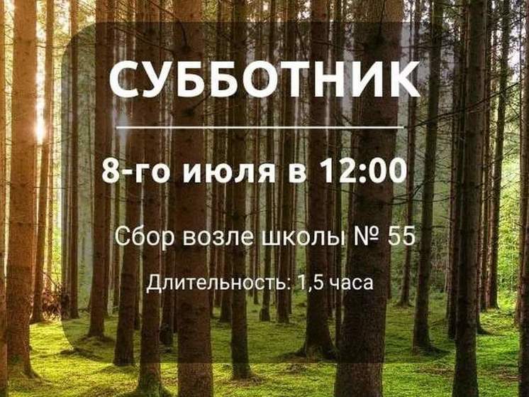 8 июля в Курске пройдет субботник в Поповском лесу