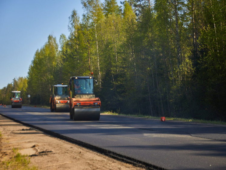 Под Тосно отремонтируют три километра дороги в обход поселка Шапки