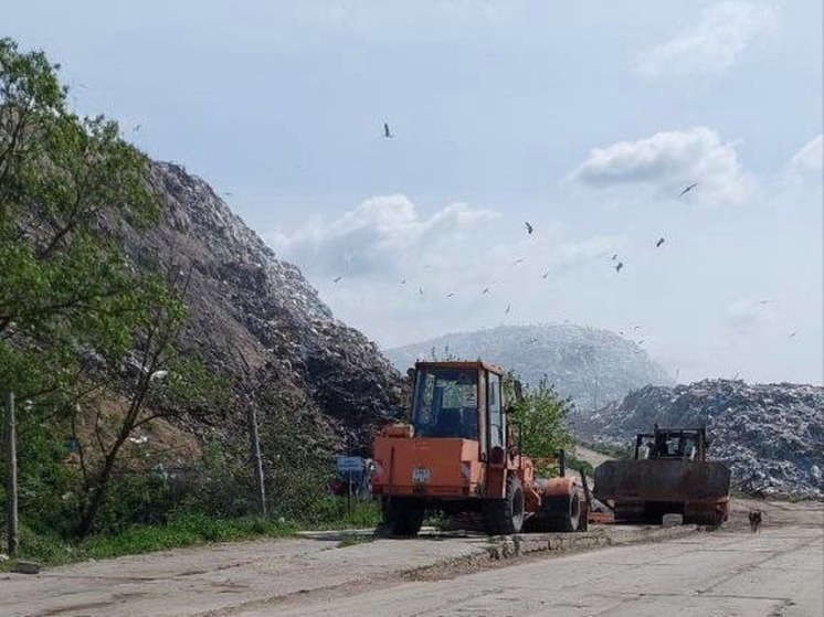 Прокуратура Калининграда выявила нарушения на мусорных полигонах