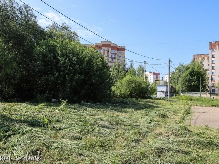 «Зеленстрой» стрижет газоны в Смоленске