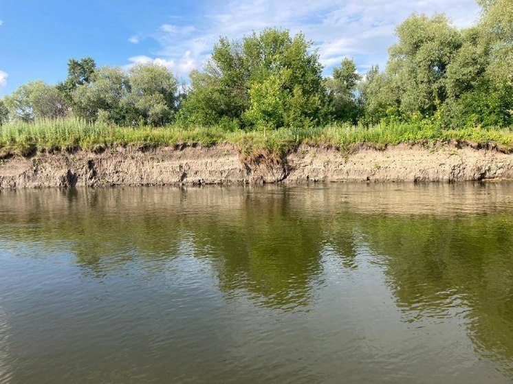 В Воронеже 14-летний подросток утонул при купании в реке