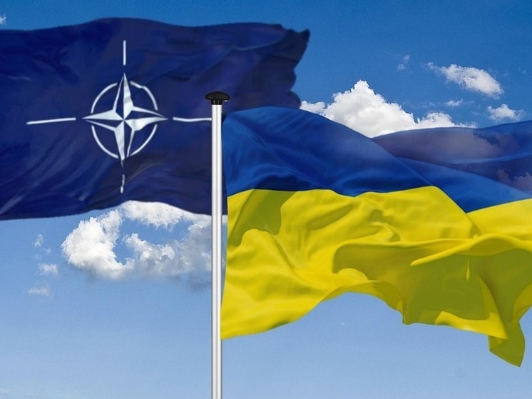 В бундестаге выступили за принятие Украины в НАТО по частям