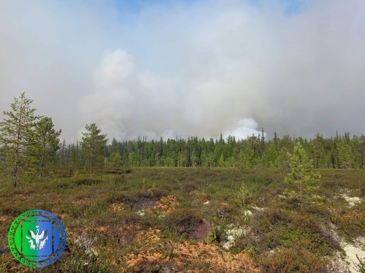 Лесные пожары в Шурышкарском районе не угрожают жилым домам