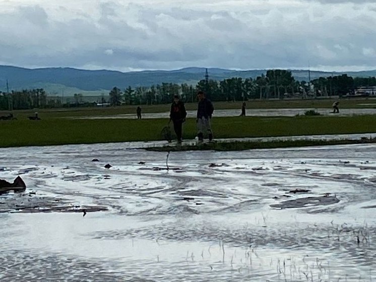 Более 20 жилых домов подтопило в Забайкалье после сильных дождей
