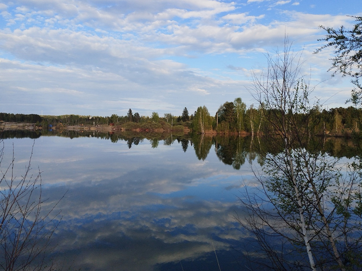 Ход работ по очистке томского озера Беленького взяла на контроль природоохранная прокуратура