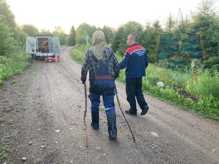 Спасатели всю ночь искали пропавшего в лесу под Подпорожьем пожилого мужчину
