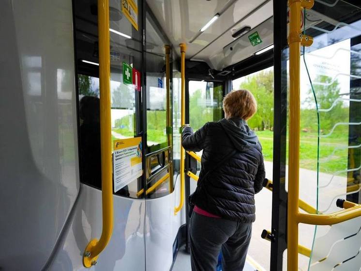 С начала лета более 36 миллионов поездок совершили пассажиры на автобусах