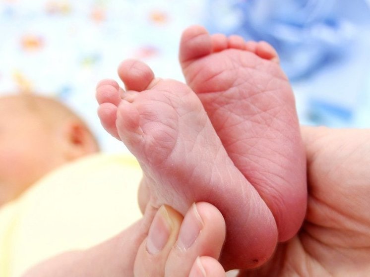 Более 4,3 тысячи детей родились в Вологодской области в 2023 году