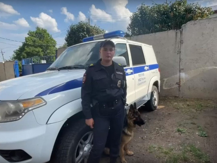 В Сарапуле служебная собака помогла найти вора