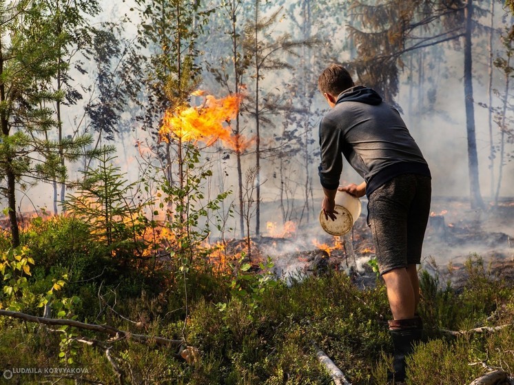 Площадь лесных пожаров в Карелии выросла в три раза по сравнению с прошлым годом