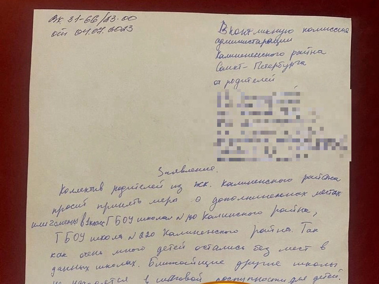 «Я плачу, мы простояли в очереди семь часов»: петербуржцам массово отказывают в записи детей в школы