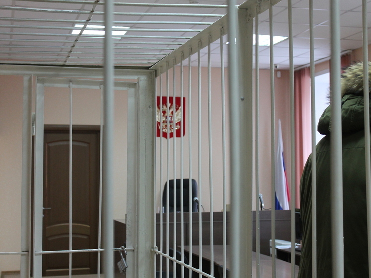 12 лет колонии строгого режима получил педофил в Омской области