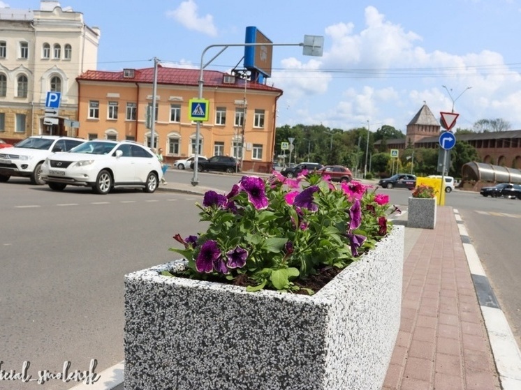 29 вазонов украсили улицы Смоленска