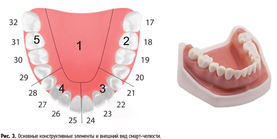Пермские ученые изобрели «умную» челюсть для подготовки стоматологов