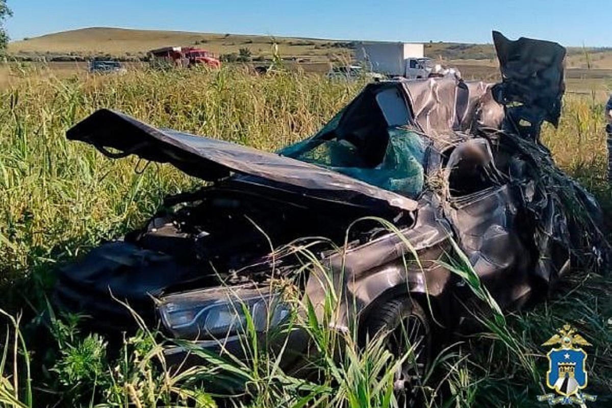 4 человека погибли в вылетевшем в кювет автомобиле в Грачевском округе - МК Став