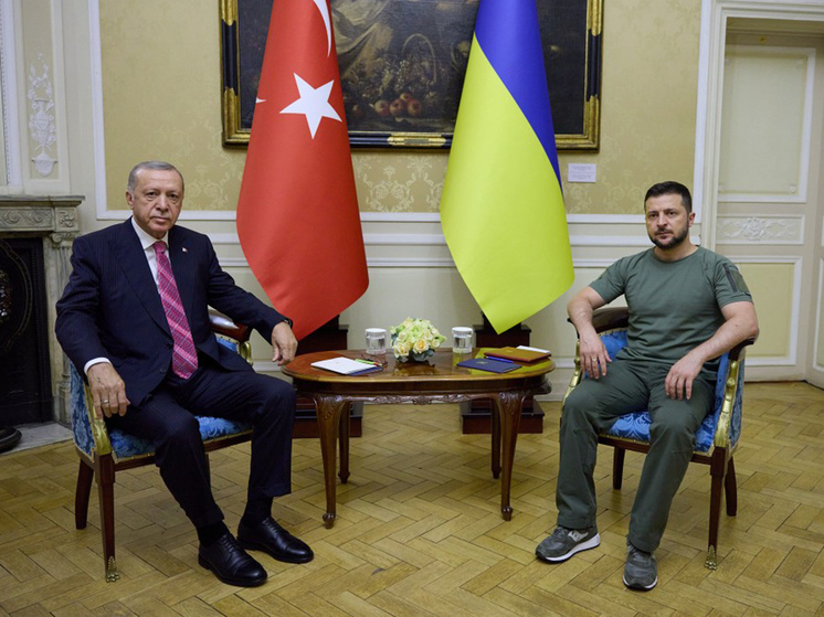 Зачем украинский президент наносит визит в Турцию