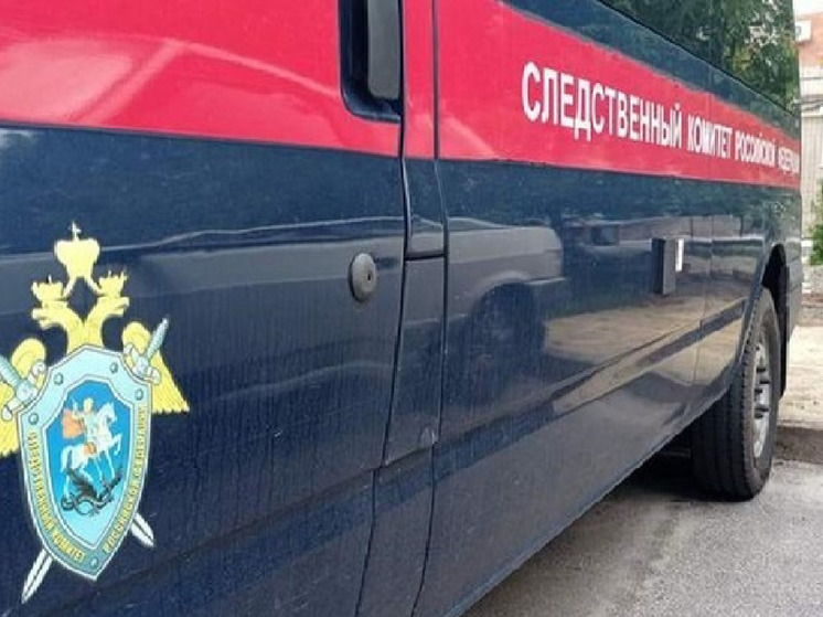 В Белгороде завели уголовное дело на подростков, избивших охранника
