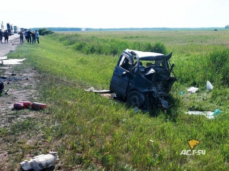 Под Новосибирском в ДТП с микроавтобусом погибли два человека
