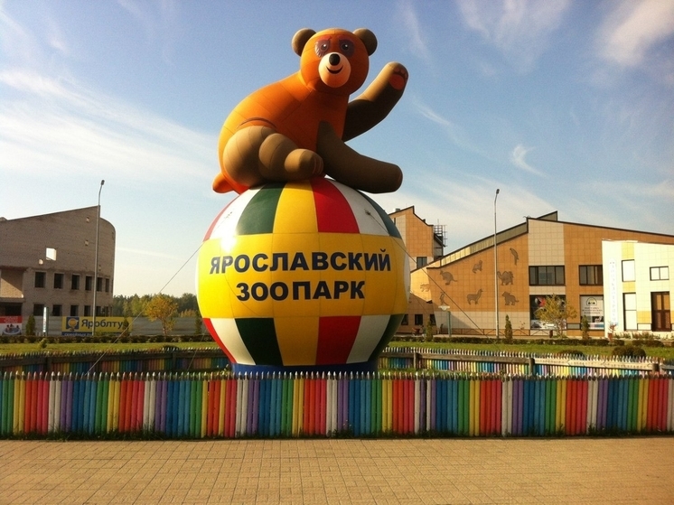В Ярославле закрыли контактный зоопарк