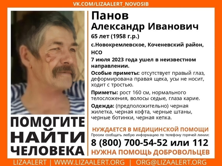 Под Новосибирском ищут пропавшего 65-летнего пенсионера без одного глаза
