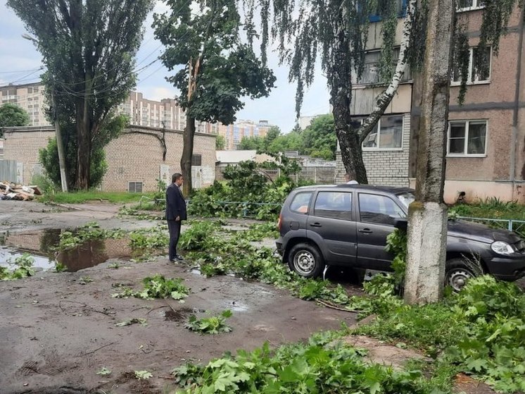 В Железногорске Курской области ураганный ветер повалил около 20 деревьев