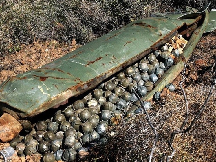 США поплатятся за стремление уничтожить славянский мир – депутат