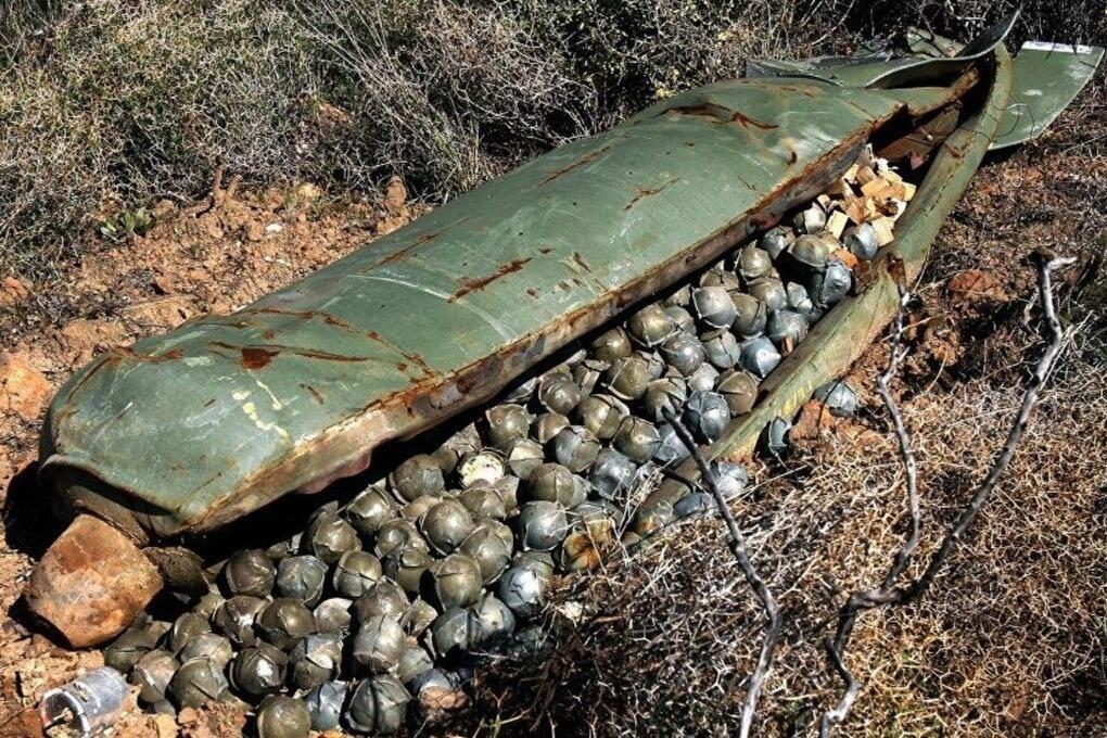 Фото: ru.wikipedia.org 