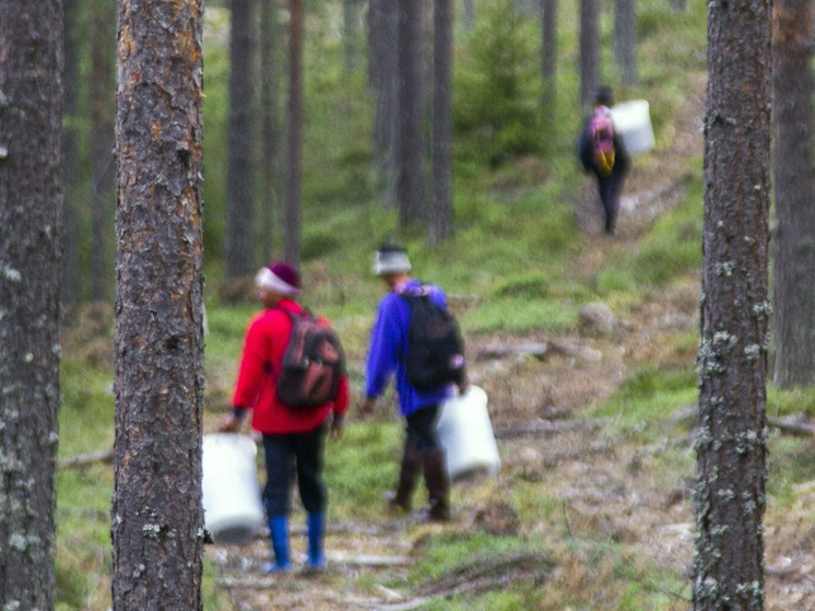 Finnish farmers complain about migrants from Ukraine