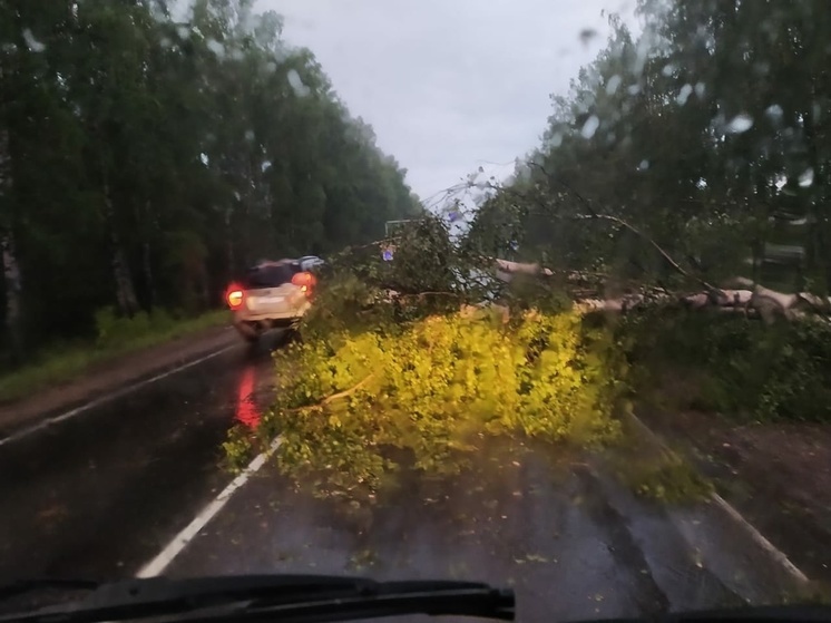 После стихии: дорожные службы и простые костромичи-автомобилисты очищают трассы от упавших деревьев