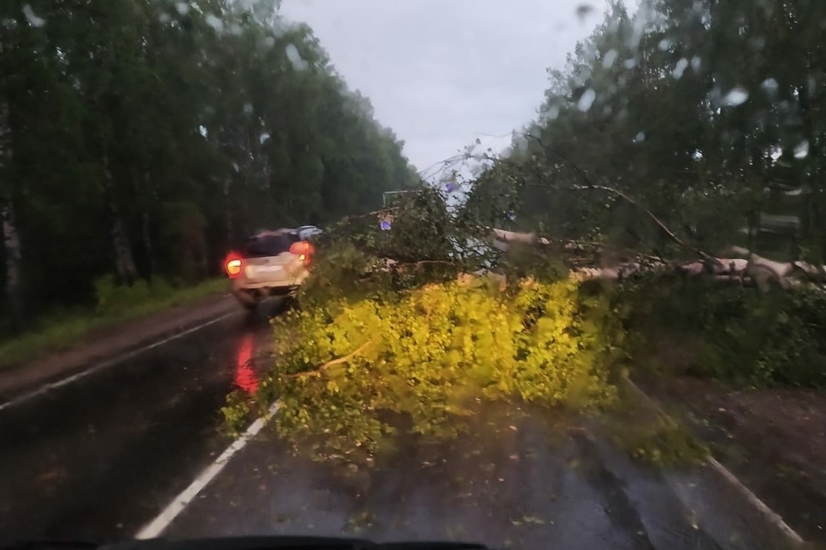 После стихии: дорожные службы и простые костромичи-автомобилисты очищают трассы от упавших деревьев