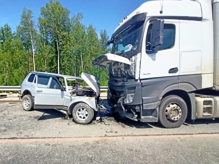 Нива бу челябинская область