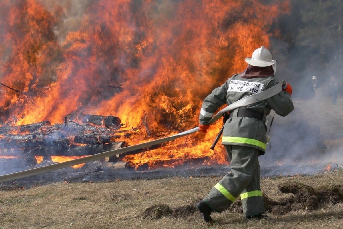 Стало известно число пожаров, возникших в Ленобласти в сезон лесных возгораний