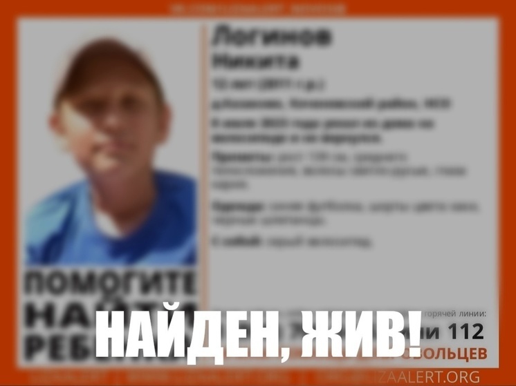 Под Новосибирском найден живым 12-летний ребенок на велосипеде