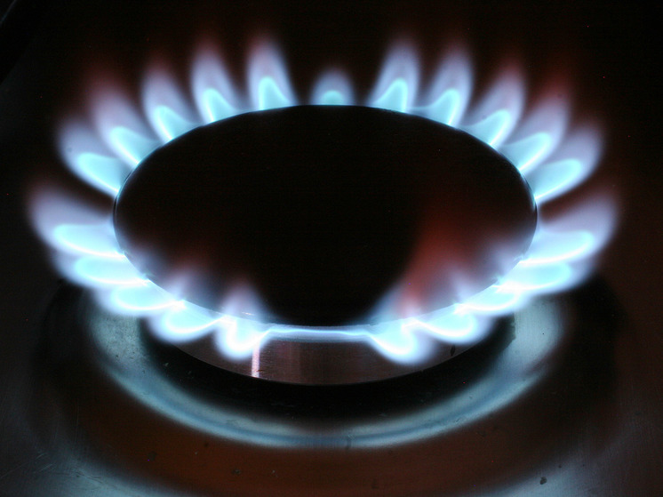 Austrian OMV head Stern said he would not give up Russian gas