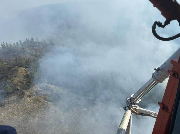 В Башкирии горят почти 40 га леса