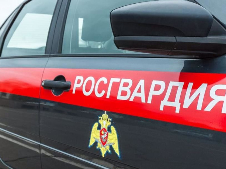 В мурманском баре задержали хулигана