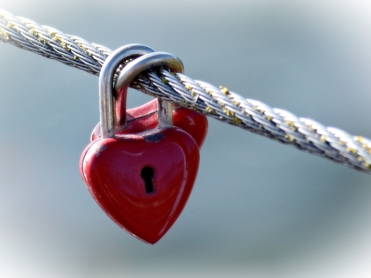 Жители Петрозаводска назвали качества идеальной второй половинки