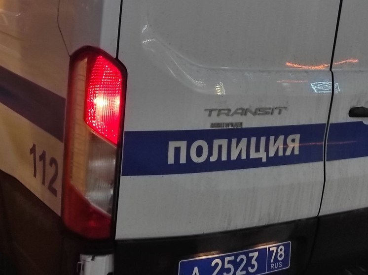 В Кудрово мужчина зарезал гостя бывшей сожительницы