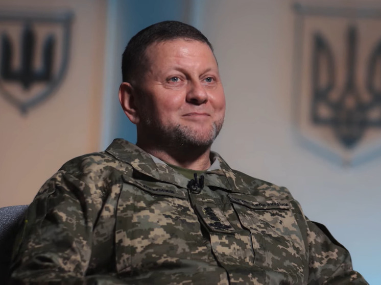 Военный ВСУ Штефан заявил, что позывной главкома Залужного «Волонтер»