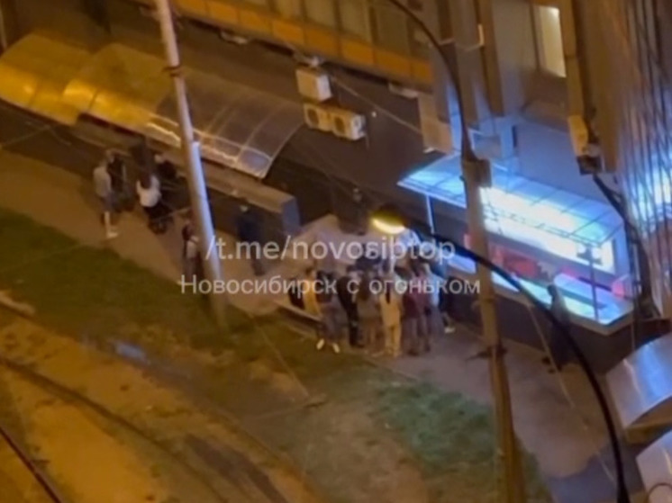 В Новосибирске жители пожаловались на поздний шум из-за недавно открывшегося бара