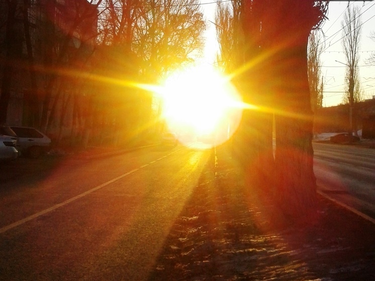 10 июля отмечается день глашатаев, энергетической независимости и любви к капибарам