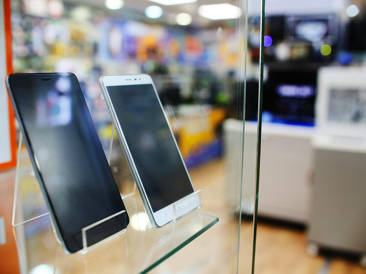 Учительнице из Мытищ продали муляж телефона за 128 тыс. рублей