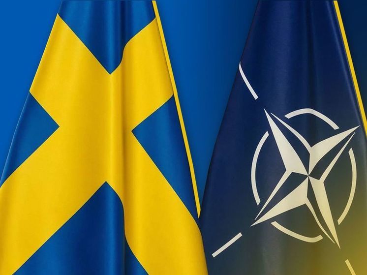 Швеция и Украина устроили гонку за членство в НАТО
