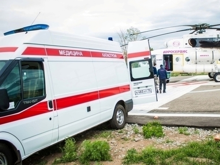 Еще трех евших мясо медведя доставят вертолетом из Куанды в Читу