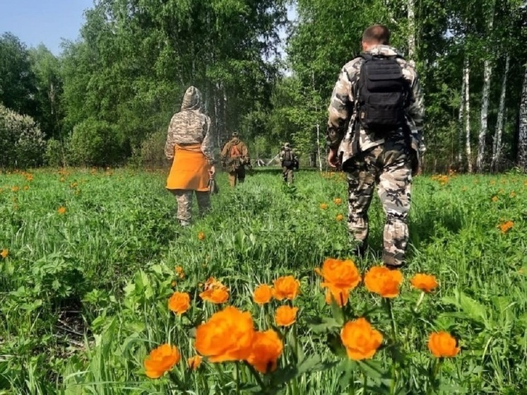 В Новосибирской области 126 человек пропали без вести в июне 2023 года