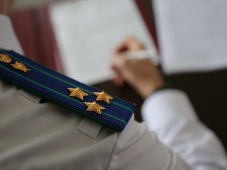 В Новгородской области прокуратура помогла жительнице добиться ремонта печи