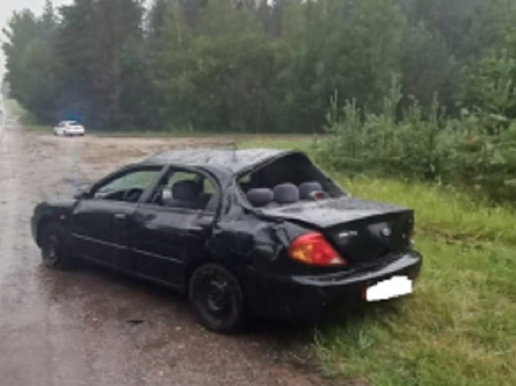 В выходные в Рязанской области 16 человек пострадали в ДТП