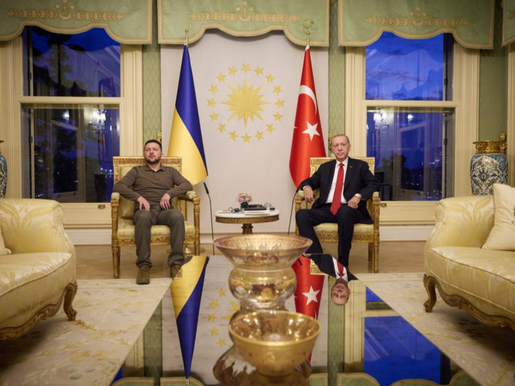 Эрдоган: Завершение конфликта справедливым миром будет способствовать вступлению Украины в НАТО