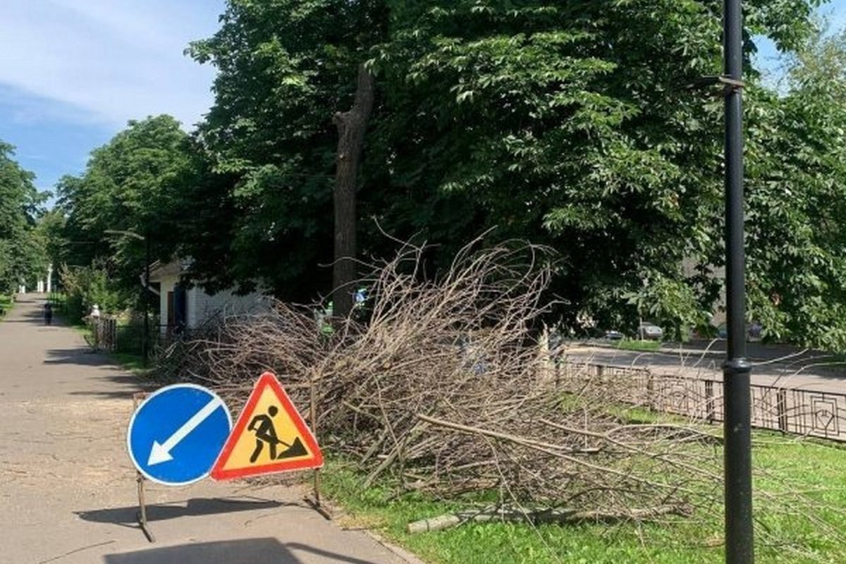Спил курск